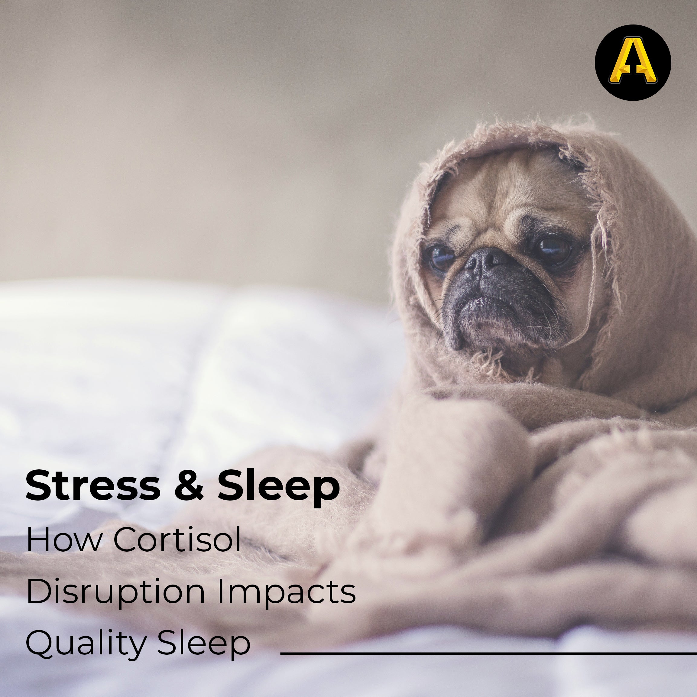 Stress and Sleep: How Cortisol Disruption Impacts Quality Sleep ...